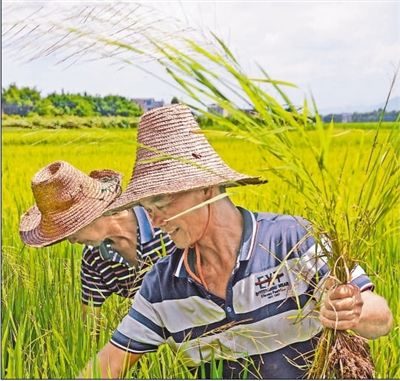 赴红色教育基地开展“不忘初心、牢记使命”主题党日活动